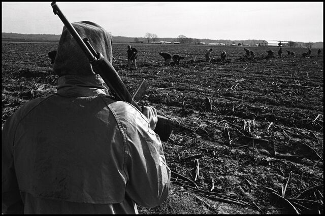 A guard overseeing fieldwork at Angola in 1963.