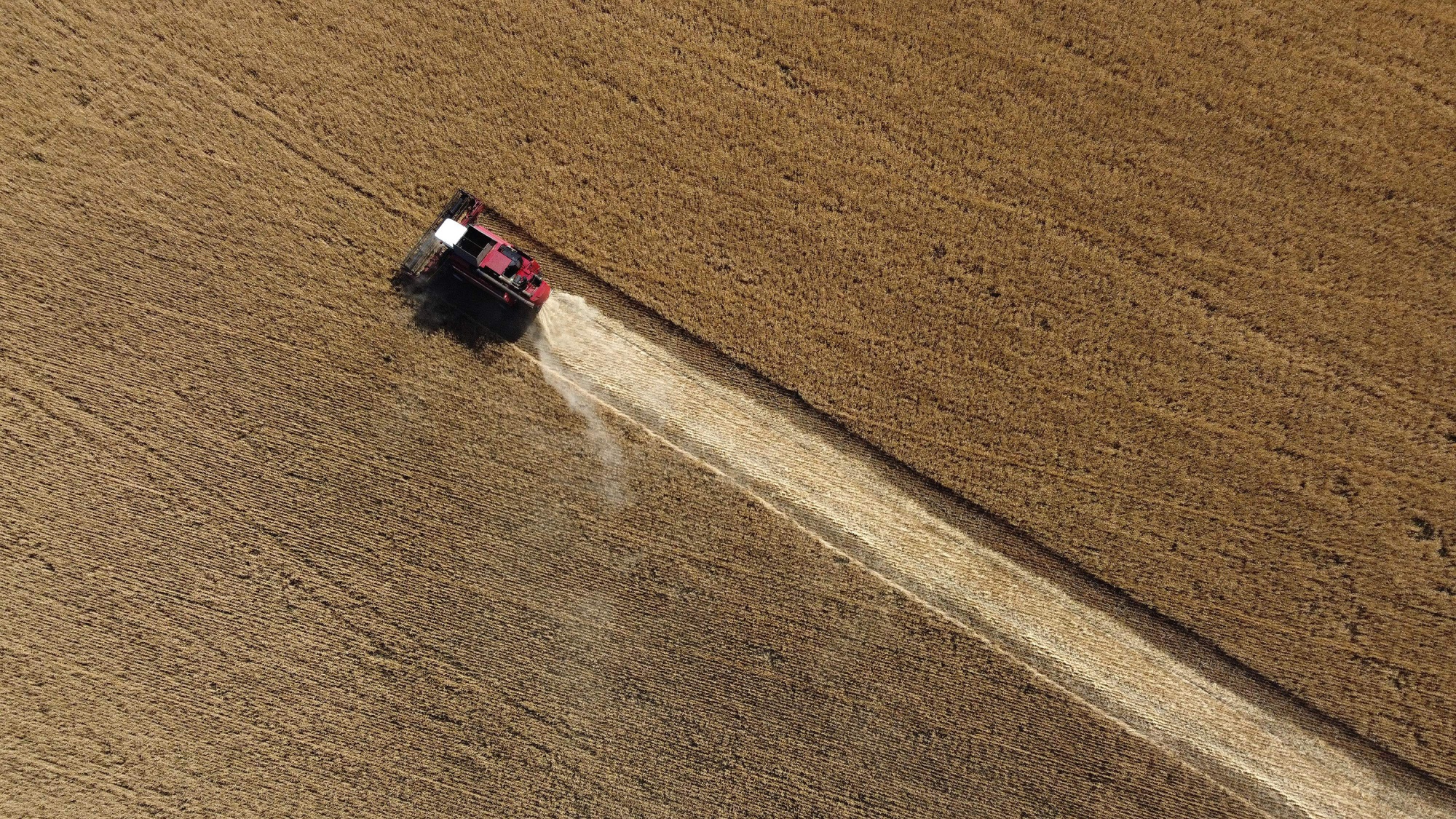 UKRAINE-RUSSIA-CONFLICT-HARVEST