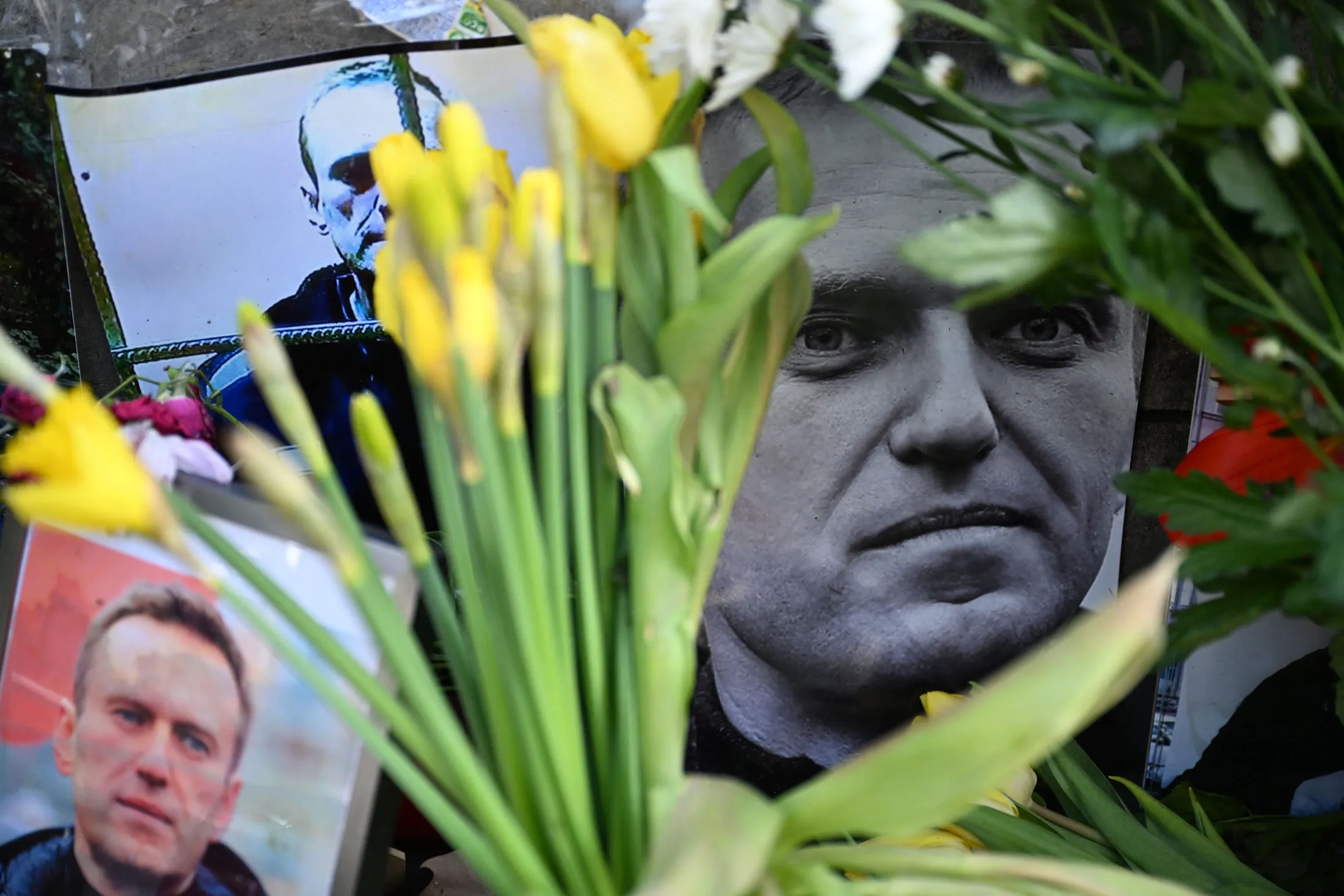 Photographs of Alexey Navalny at a memorial in Frankfurt on Feb. 29.