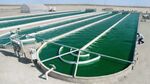 An Exxon commercial shows outdoor algae ponds at a&nbsp;Viridos facility in&nbsp;Calipatria, California.