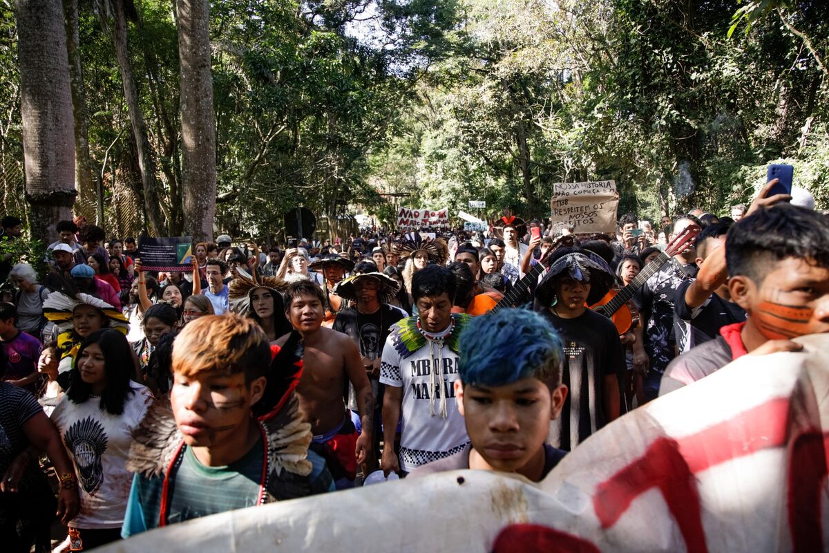 Video. Supreme court ruling in Brazil returns land to indigenous people