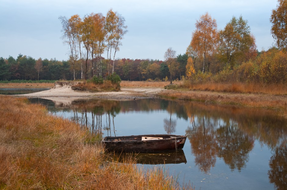 A pond on the edge of the Netherlands' Veluwe Forest