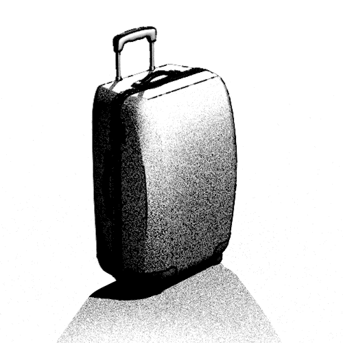 luggagexray2