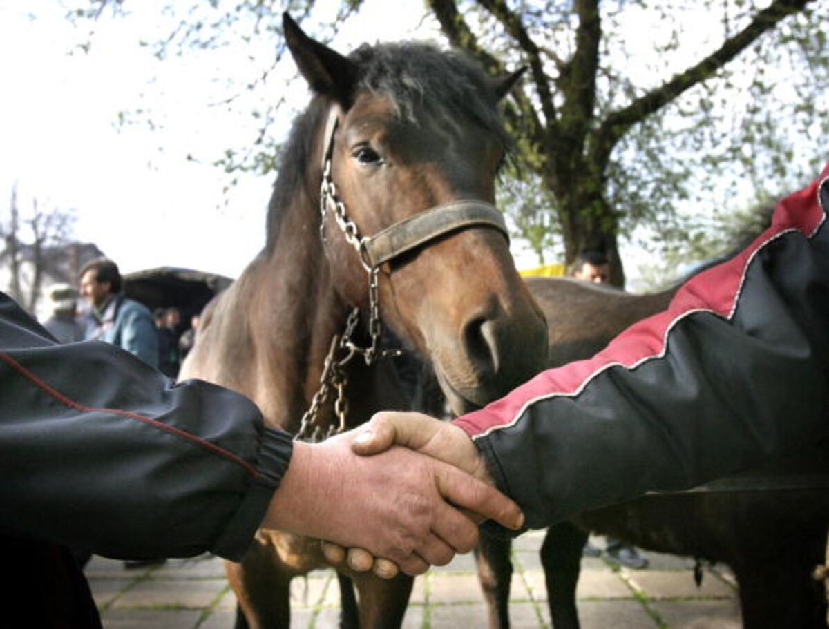 More HorseTrading, Please Bloomberg