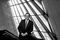 Phil Zecker, photographed at the Broad Museum on the University of Michigan campus in Lansing, MI