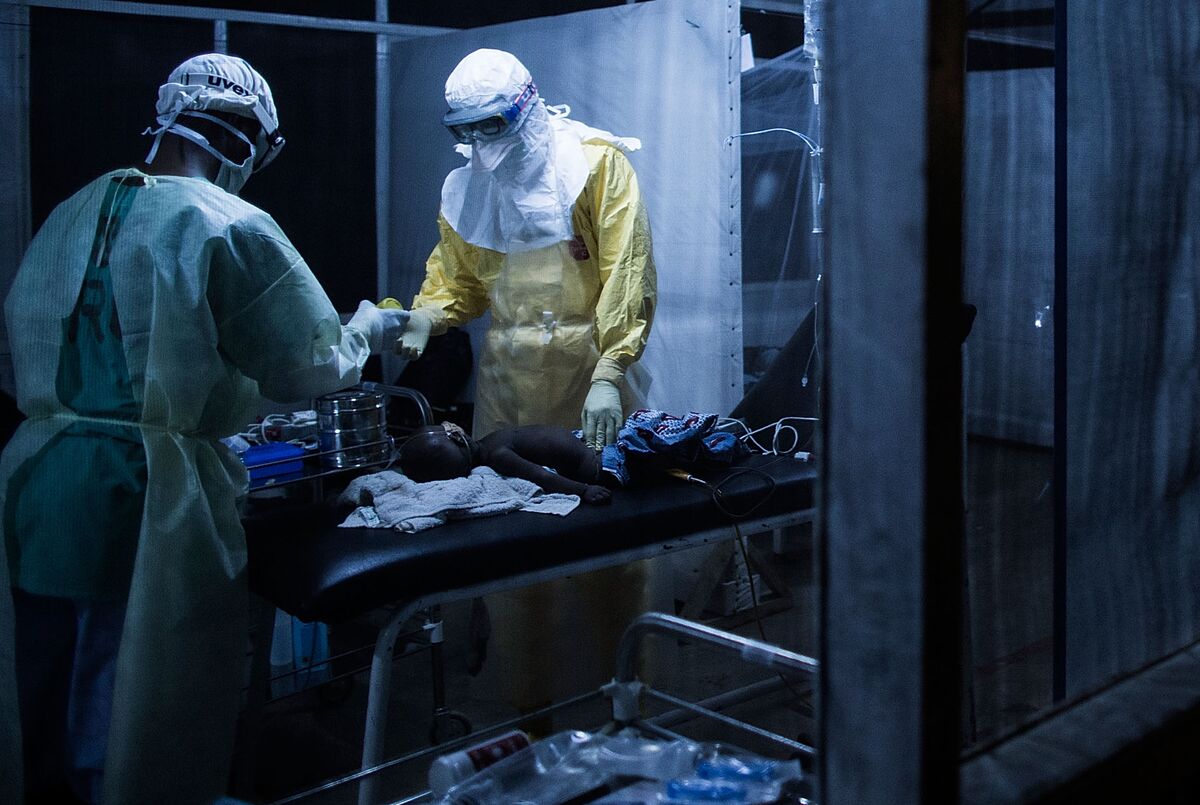 Kano Records Confirmed Lassa Fever Case Amid Heightened Surveillance