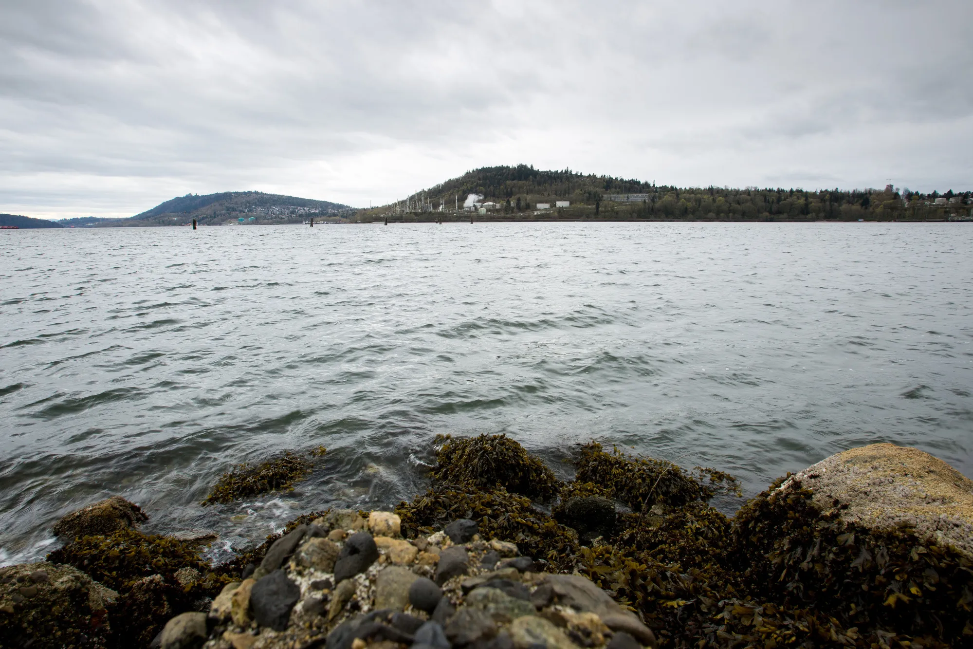 The Kinder Morgan Burnaby Facility As Alberta Mulls Buying Out The Trans Mountain Pipeline