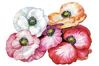 relates to The Flowers That Brides Are Reaching for This Wedding Season
