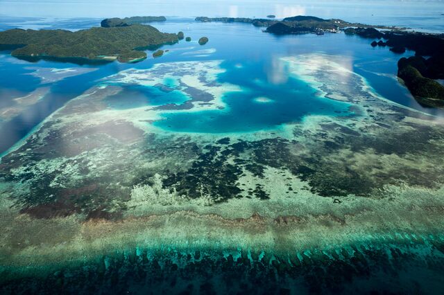 Rising sea levels can diminish the coastal protection that coral reefs provide. 