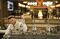 coco-safar-coffee-nespresso-machine-bloomberg-03