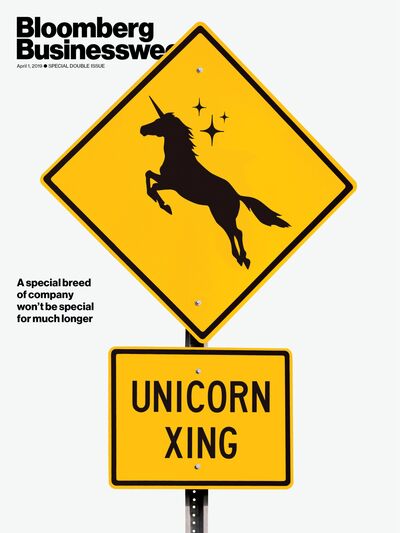 relates to What the Year of the Tech Unicorns Means for the Bull Market