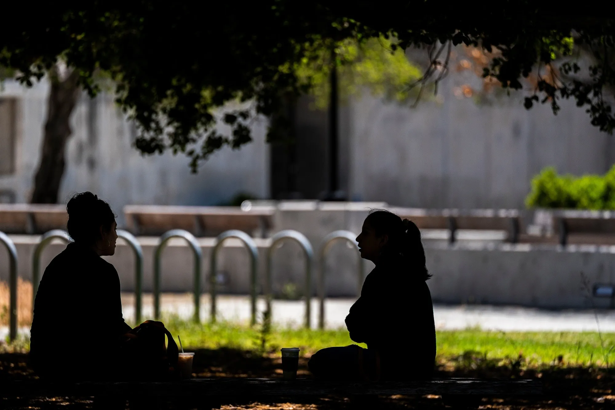 People sit on a lawn on the University of California, Berkeley campus.