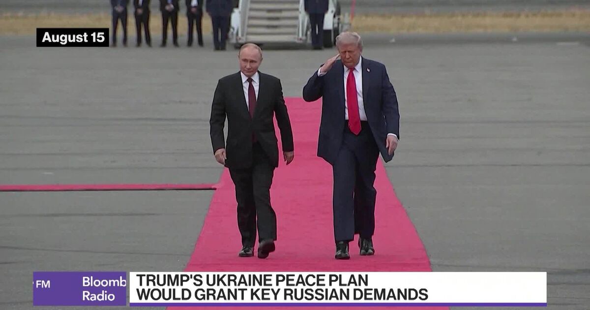 専用　TRUMP TIGHT Trump Said Broadcasters Risk Losing Licenses for Criticizing Him