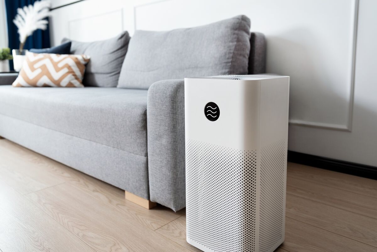 Expert Tips on Indoor Air Purifiers, Filters For Wildfire Smoke Bloomberg