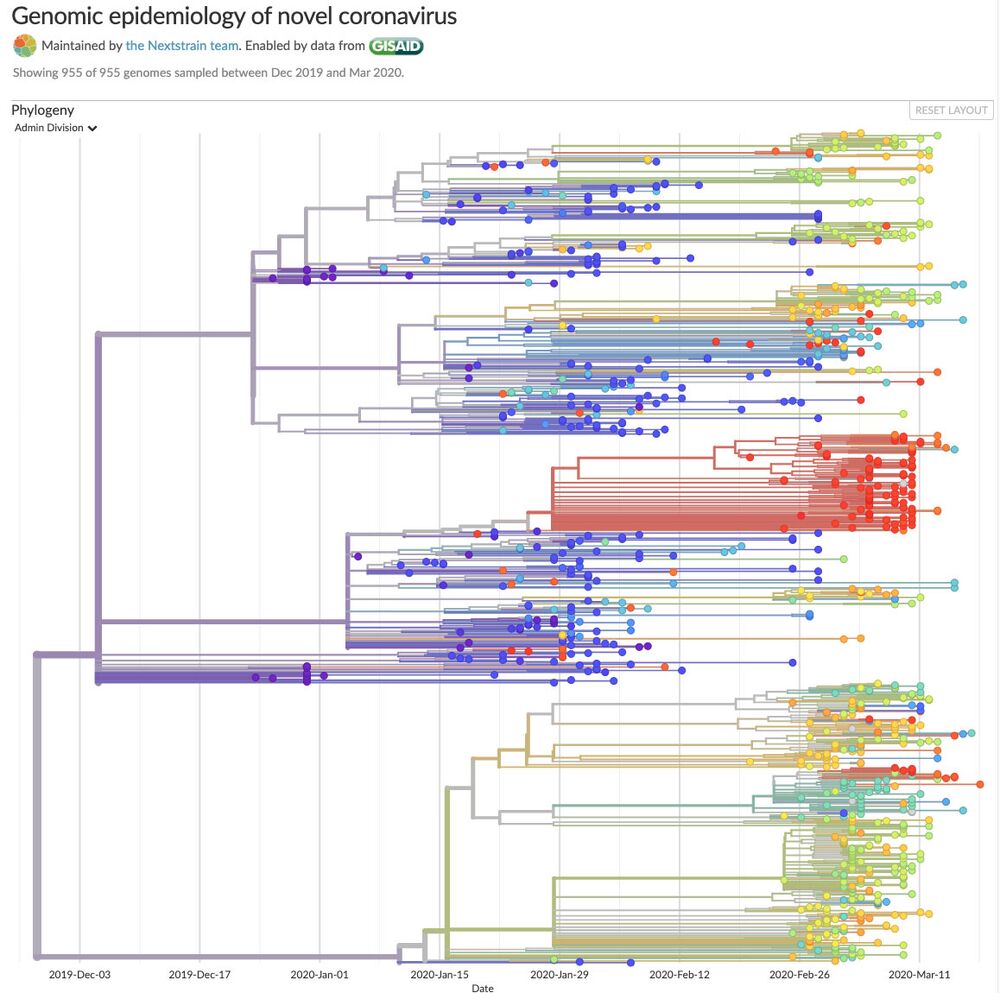 Stanford Study Proves Covid-19 Was Overhyped... 1000x-1