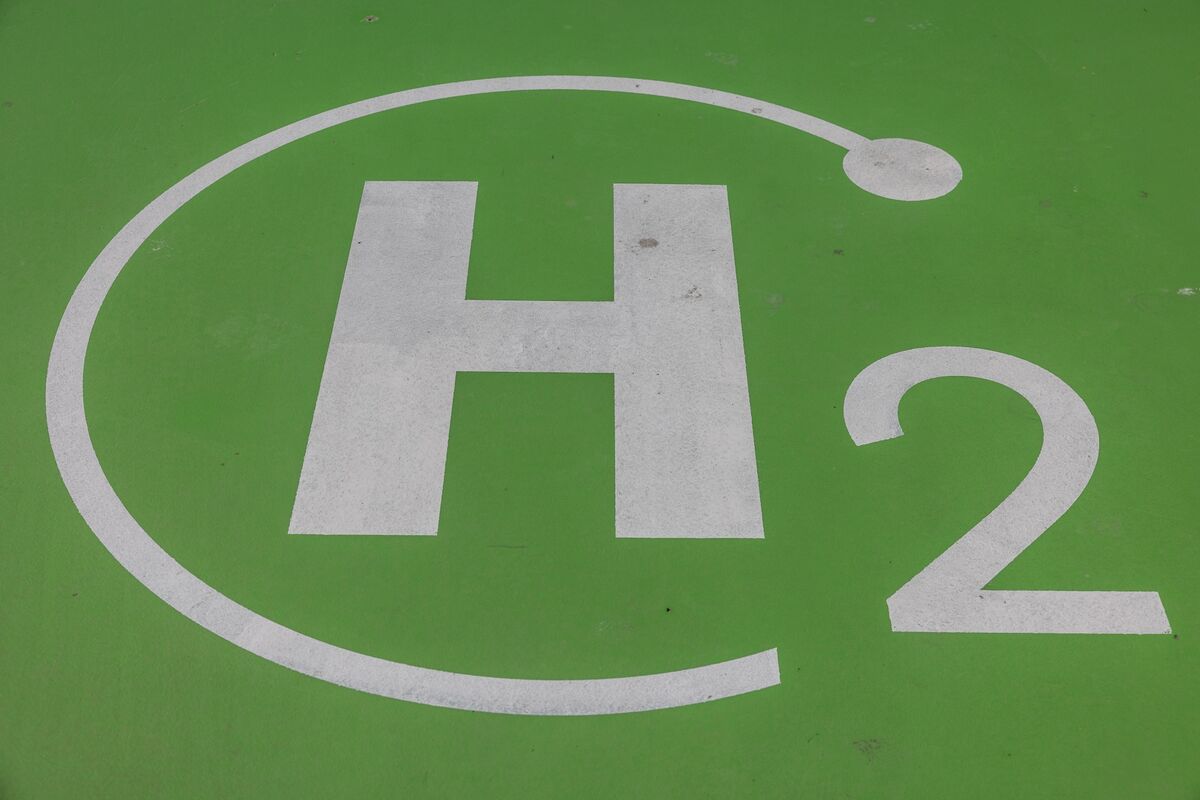 Deputy Prime Minister Calls for Green Hydrogen Investment