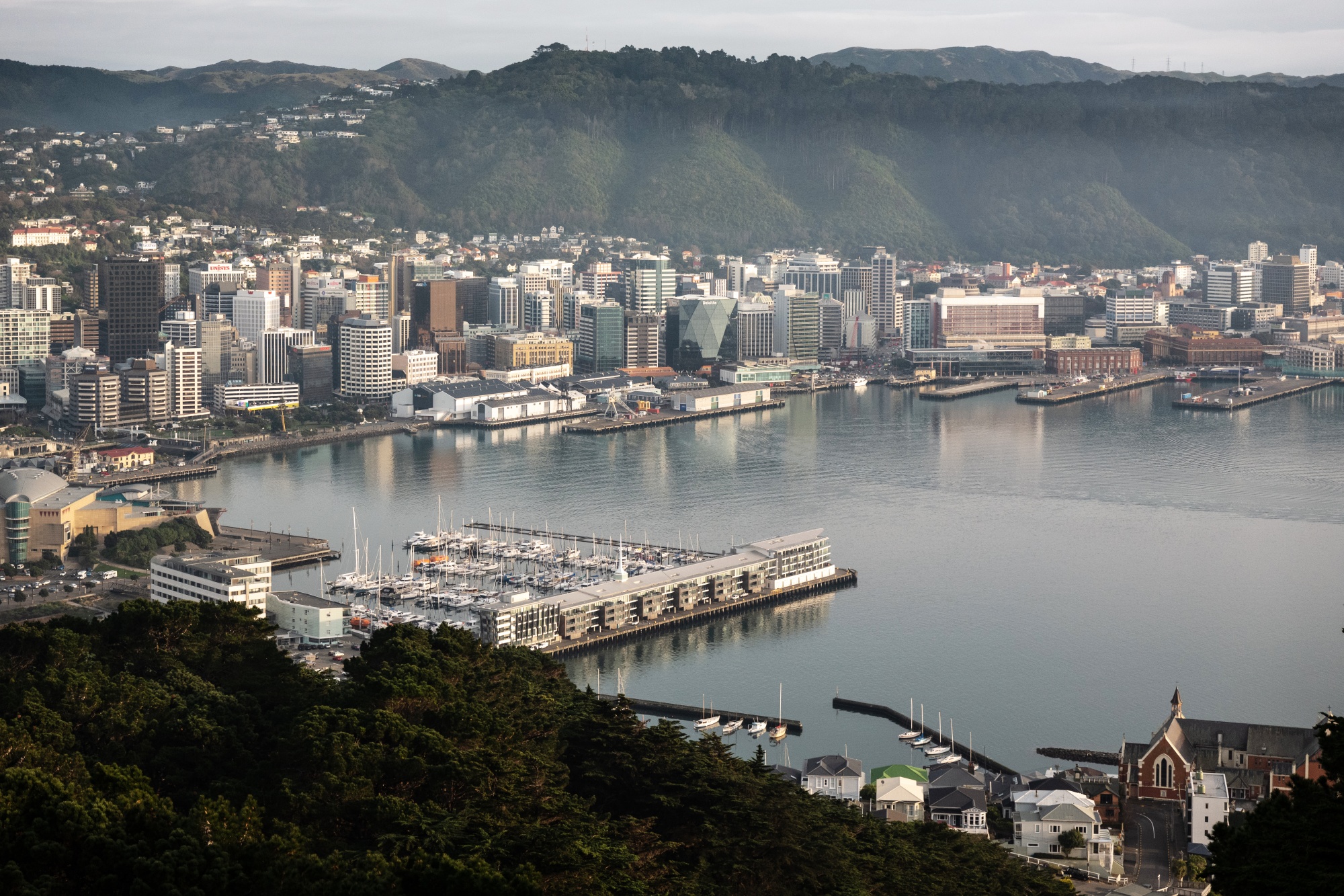 New Zealand Exploring Possibility of Issuing a Digital Currency - Bloomberg