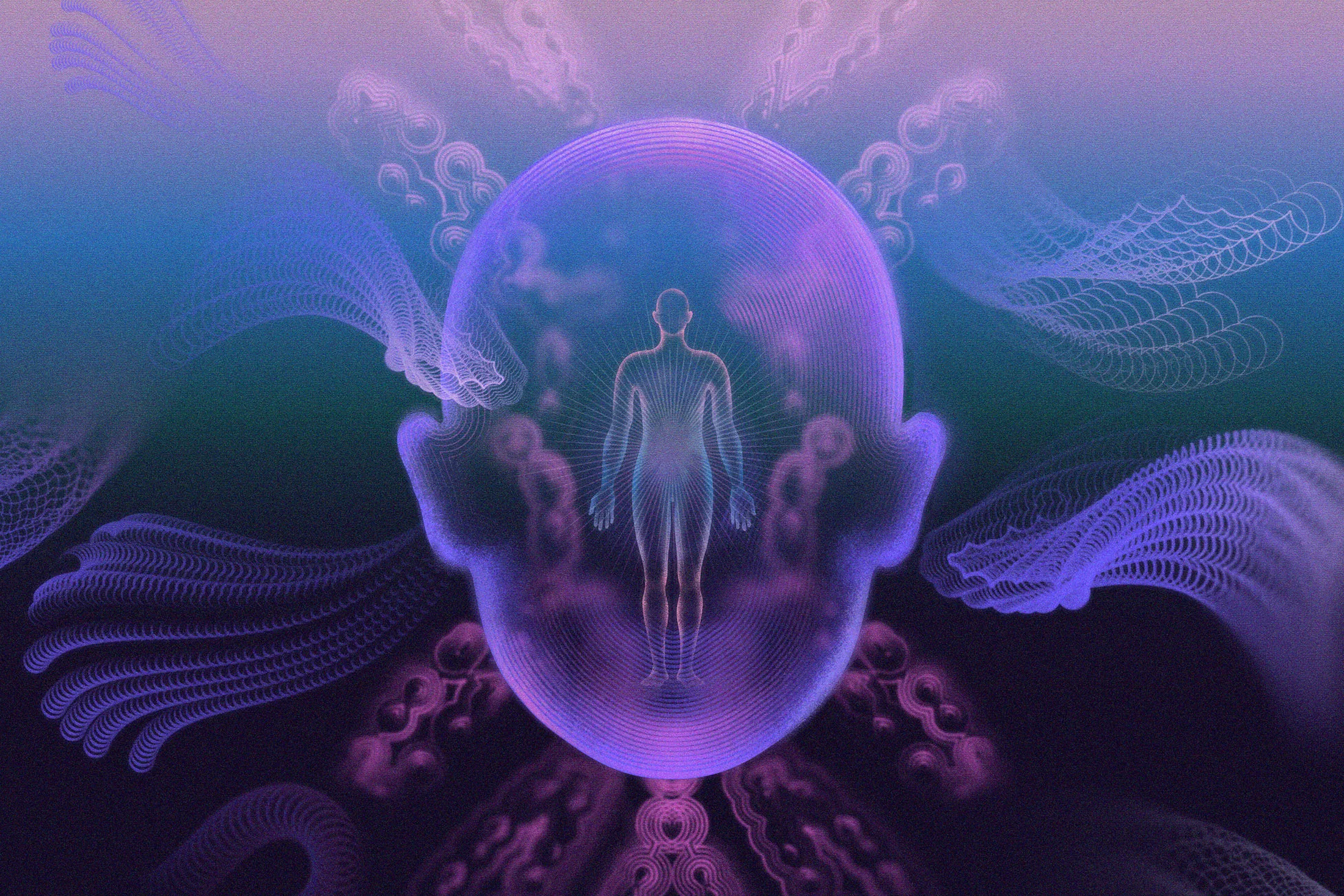 0227_CONCIOUSNESS_horizontal