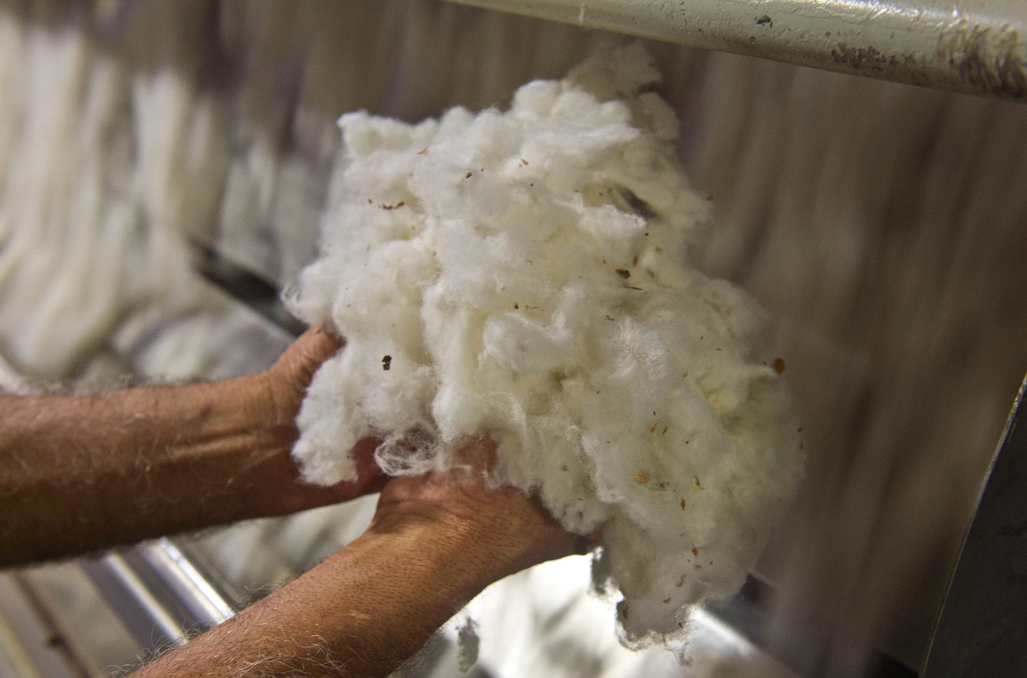 Operations During A Cotton Harvest At Legacy Farms 
