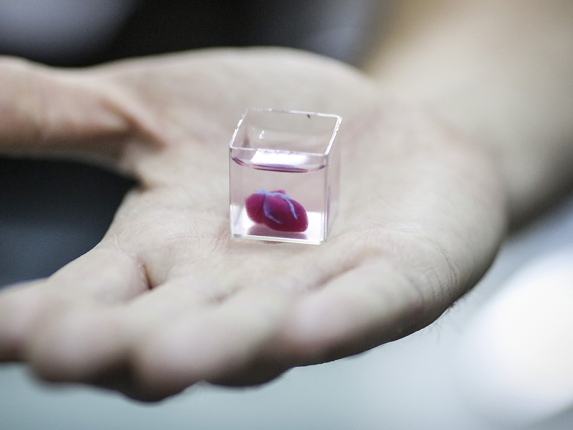 Israeli Researchers Print 3D Heart Using Patientâs Own Cells