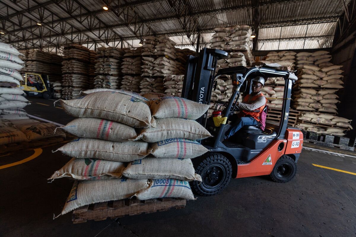 Where to Invest Now as El Niño Hits the Global Economy