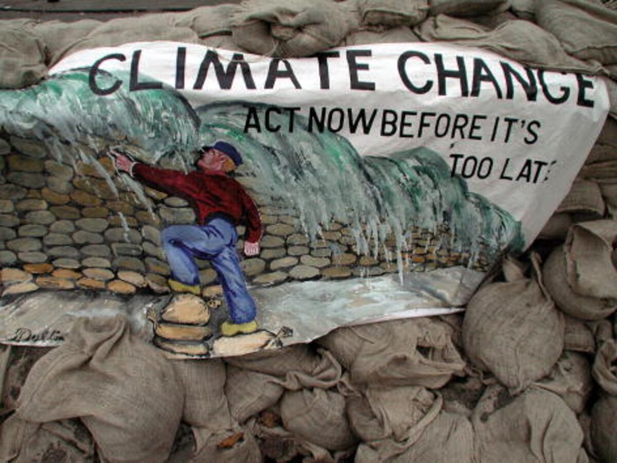 global climate change environmental or health impact