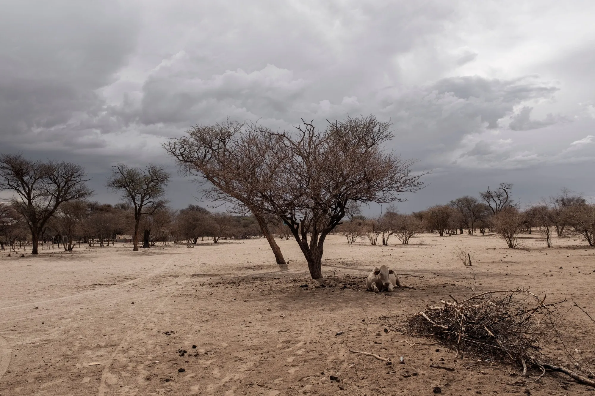 A general view of farmland on the outskirts of Ovitoto settlement, Namibia.&nbsp;