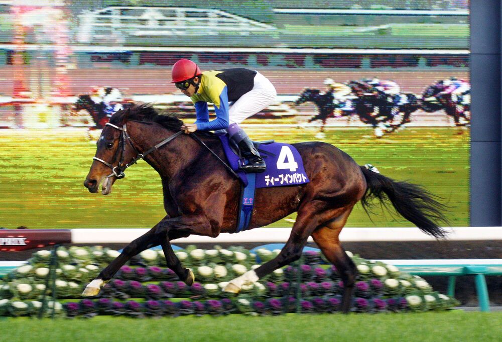 馬手箱　当選品　ディープインパクトファイルブック 馬手箱当選品ディープインパクトファイルブック