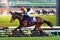 relates to いよいよ有馬記念、レース人気は景気を反映-市場でも話題の風物詩に