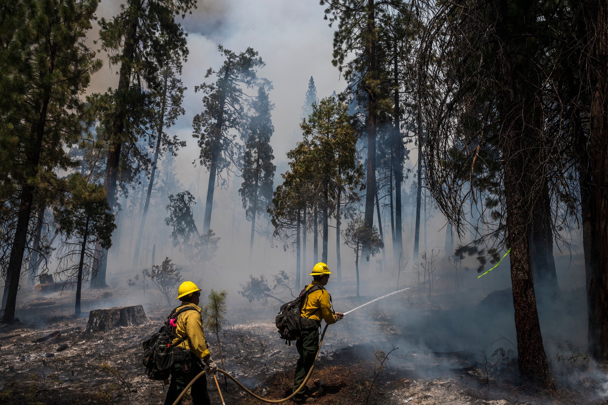 Firefighters put out hot spots in Yosemite National Park, California on July 11.