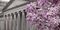 22. U.S. Treasury