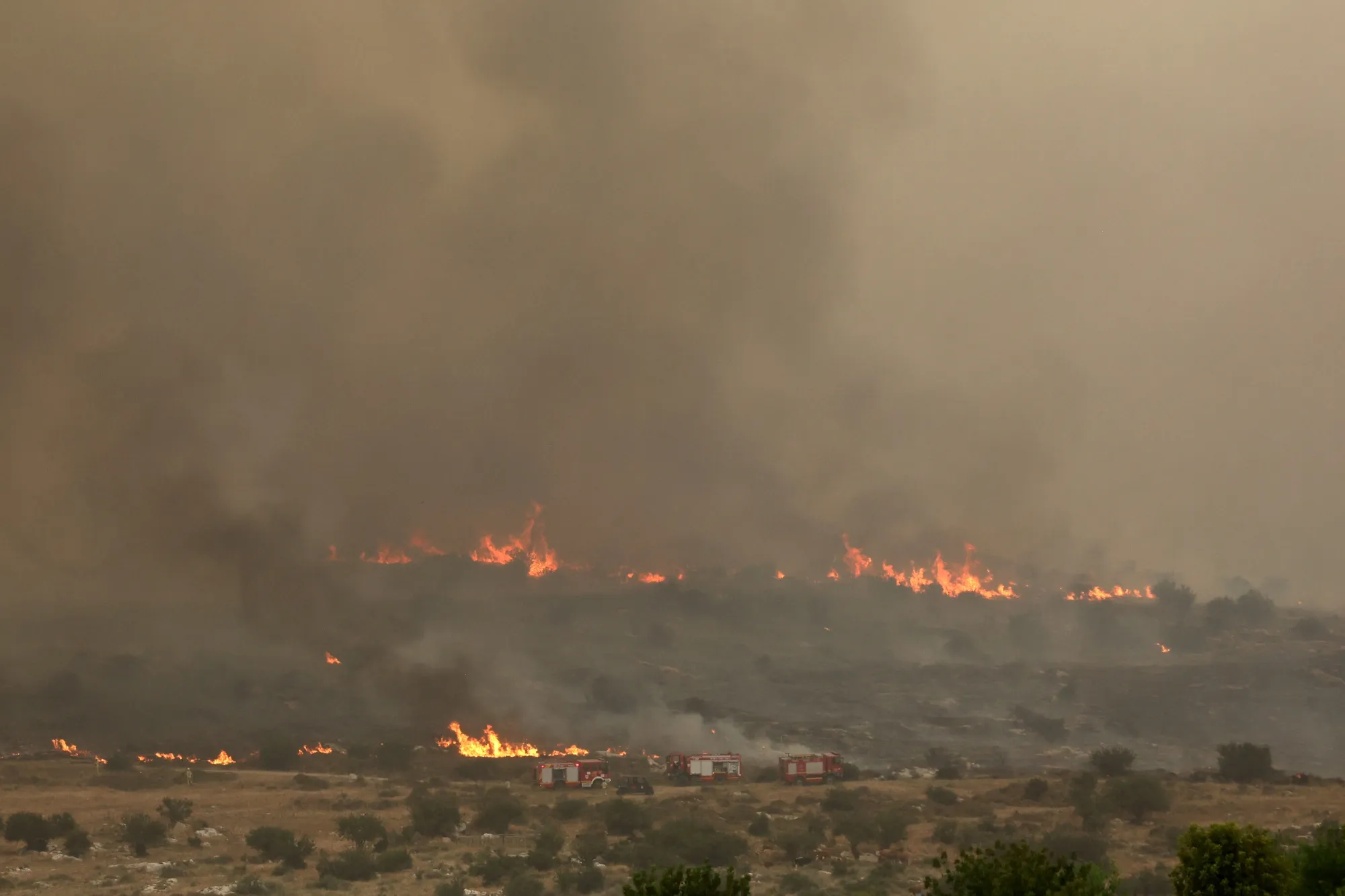 Flames engulf vegetation during a forest fire near the central Israeli town of Bet Shemesh on April 30.