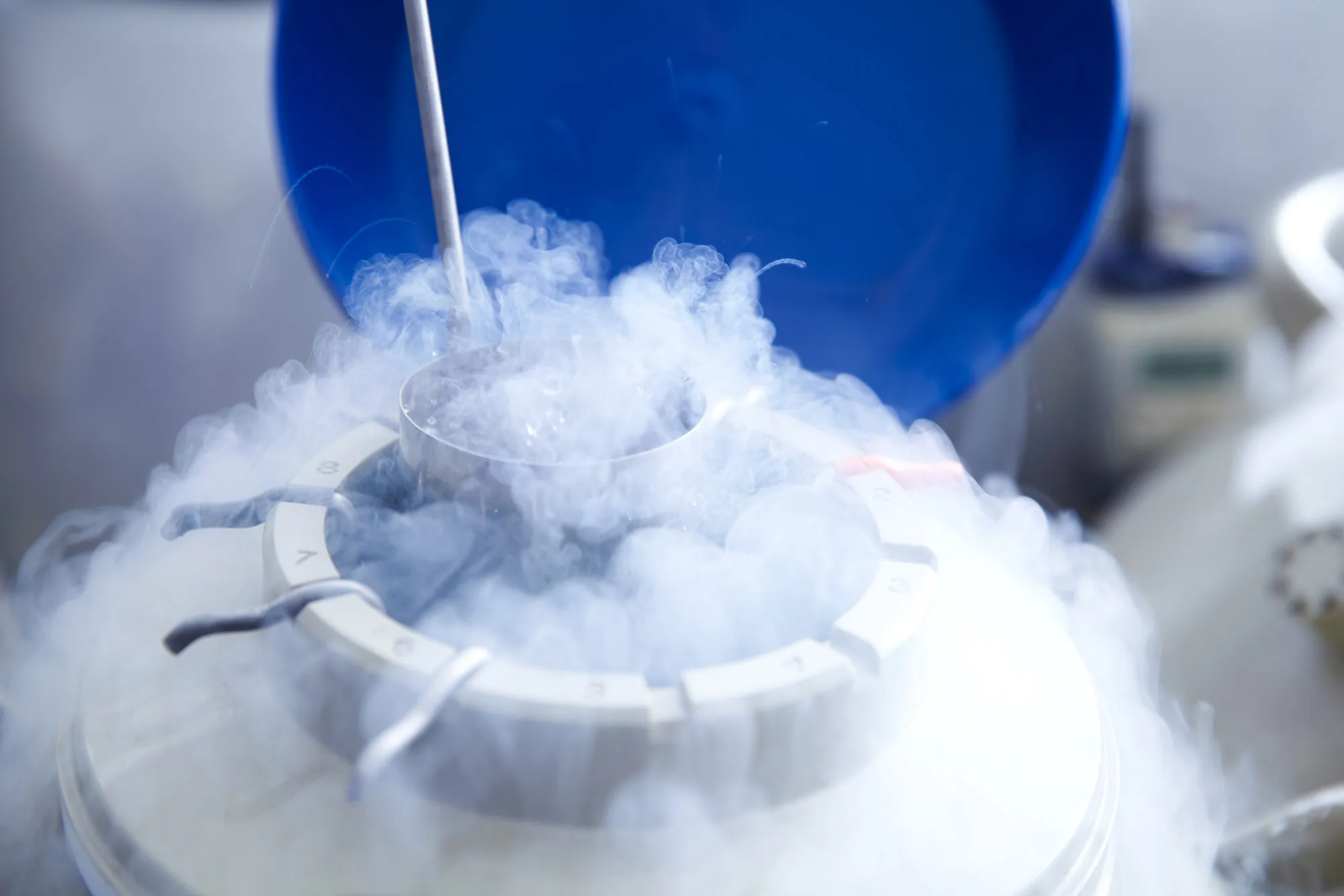Tube of eggs in cryogenic&nbsp;storage.