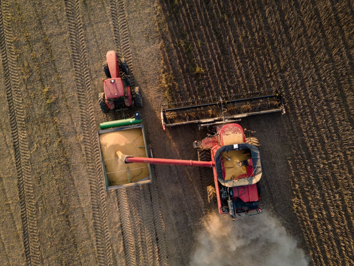 Soybeans Lead Rally for Grain Futures Before Trump-Xi Phone Call