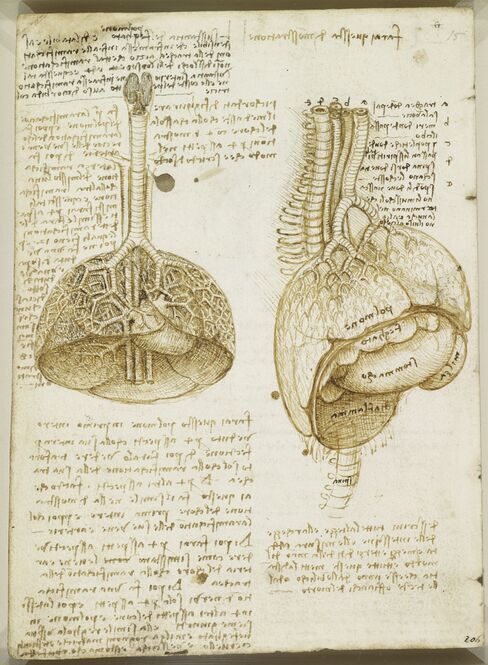 Leonardo da Vinci