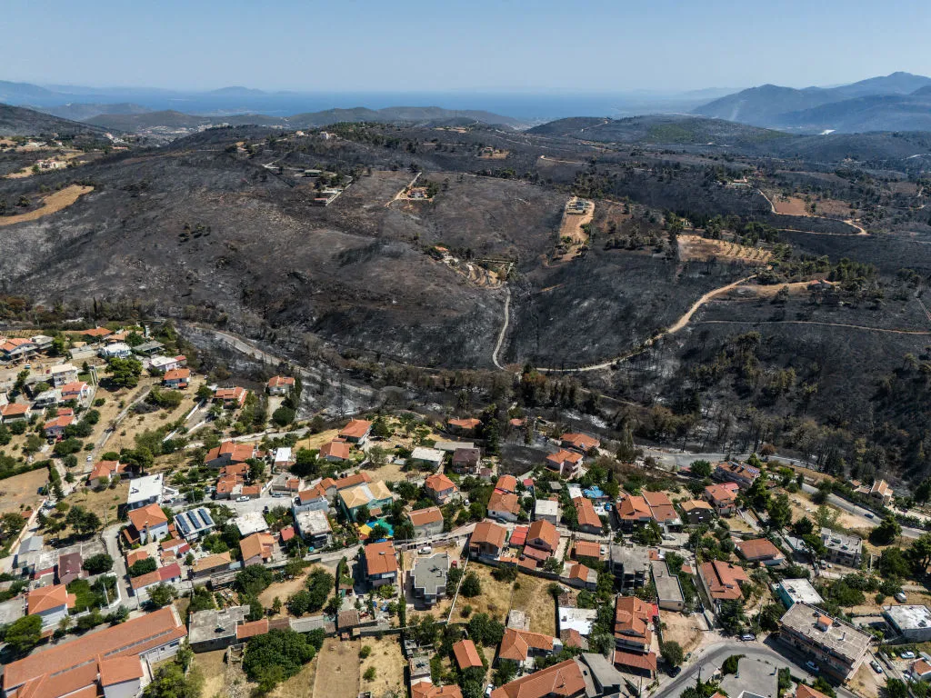 A burned area following a wildfire in the village of Varnavas, Greece.&nbsp;