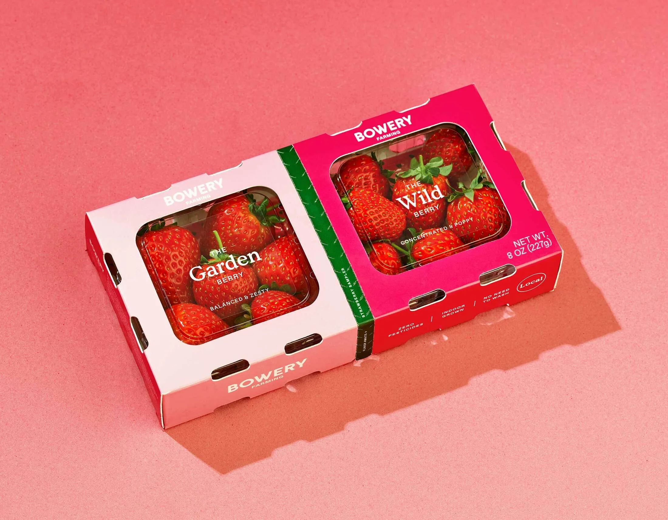 How to Grow Strawberries Indoors? Vertical Farm Expands From Greens to  Berries - Bloomberg