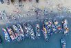 The Fight to Slow the Global Fish Crash Has a Big Problem