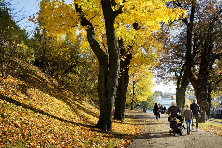 People take a stroll on a sunny autumn day in Stockholm.