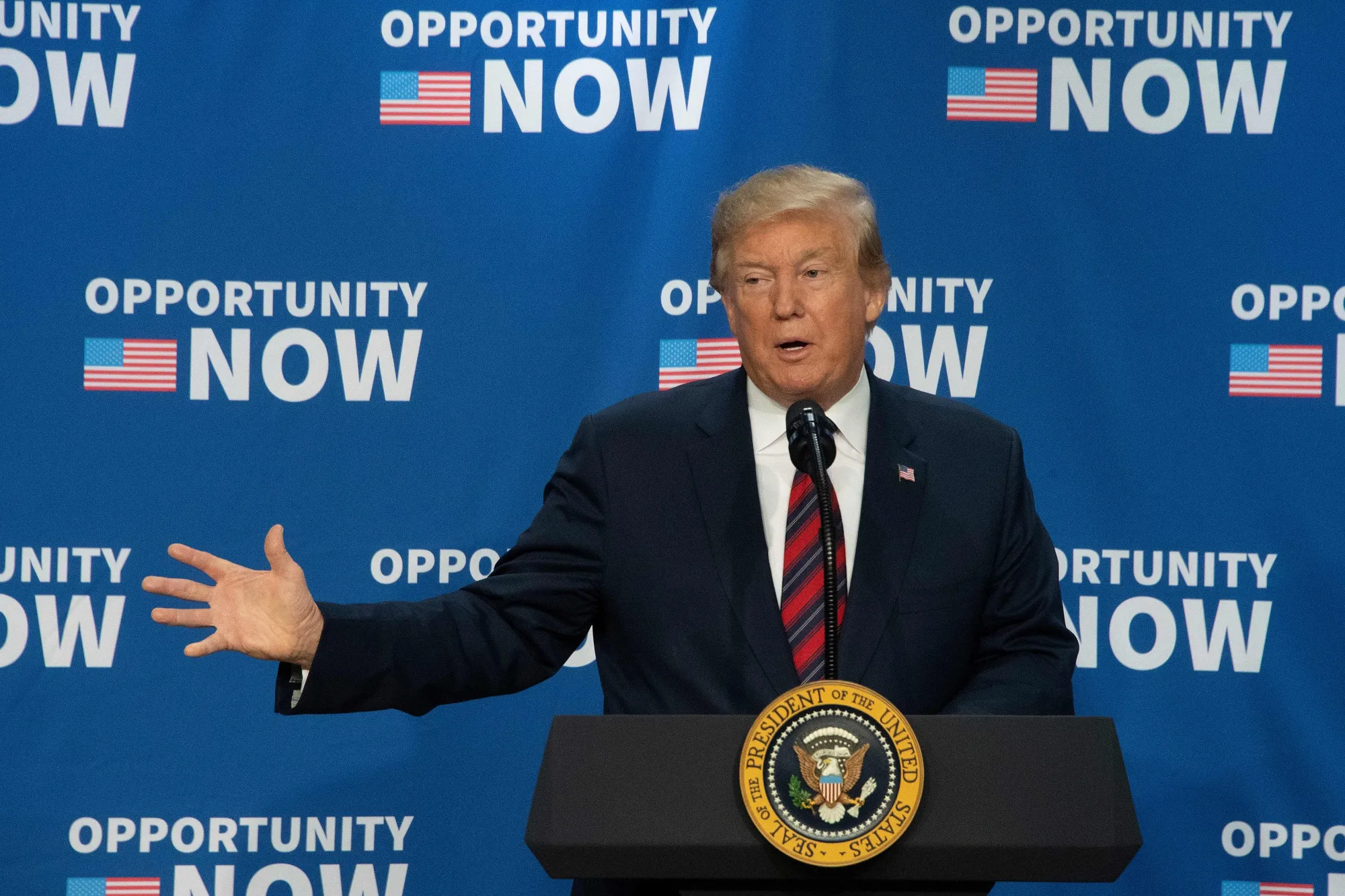 Donald Trump&nbsp;