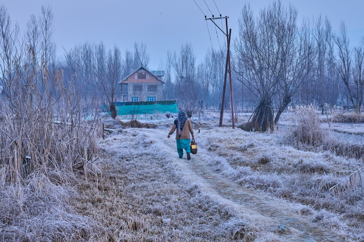 assets.bwbx.io image