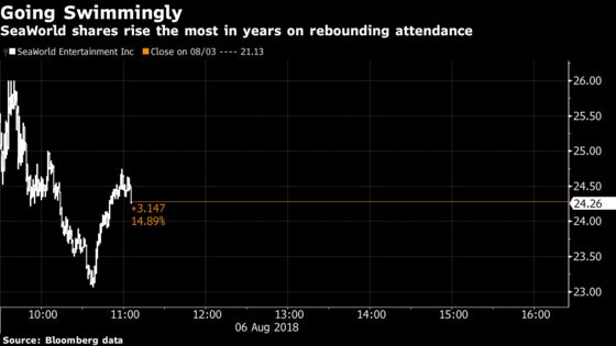 SeaWorld Surges After Free Beer and New Rides Drive Visitor Growth