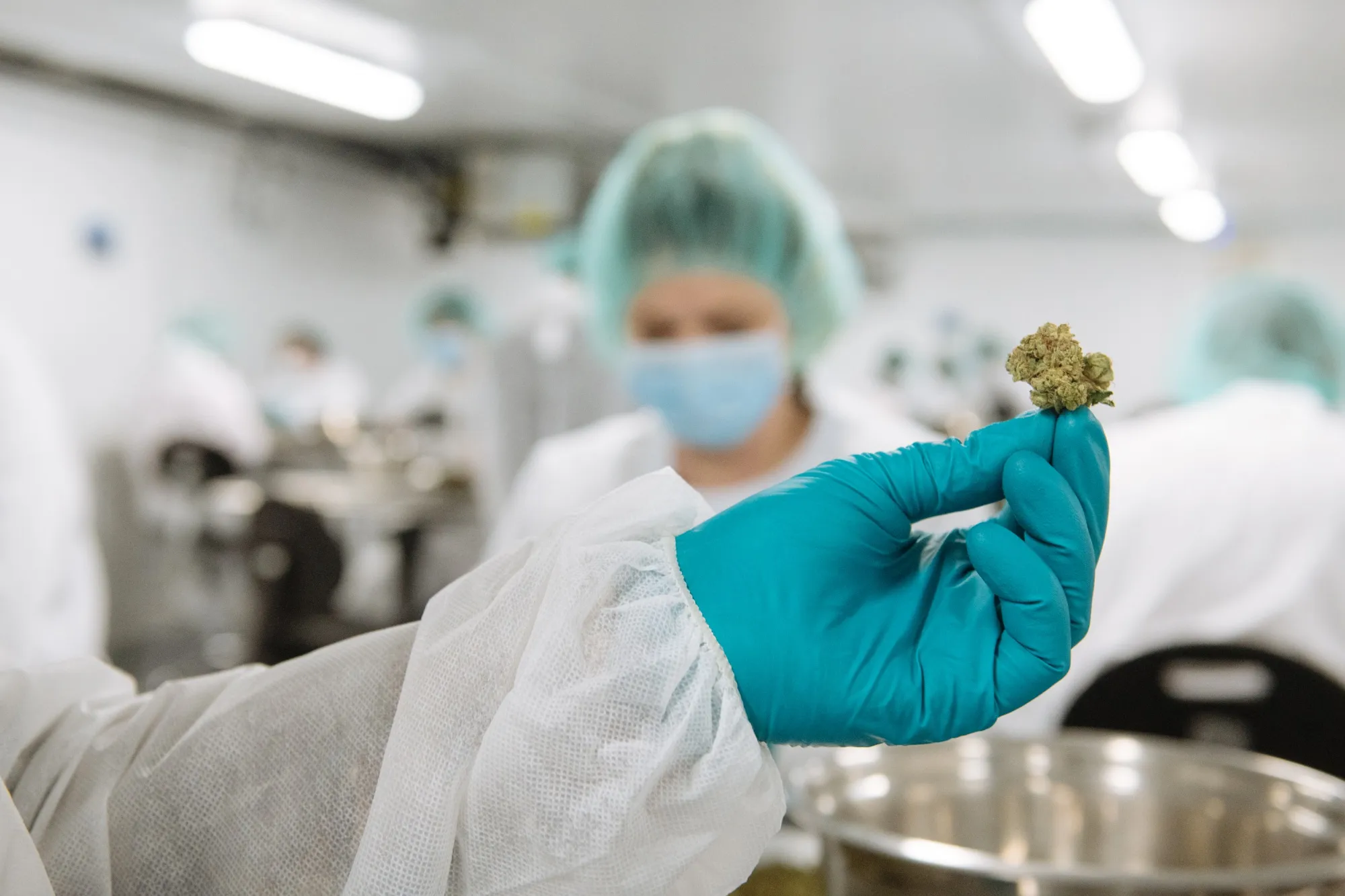 Inside The CannTrust Holdings Cannabis Production Facility Ahead Of Marijuana Legalization