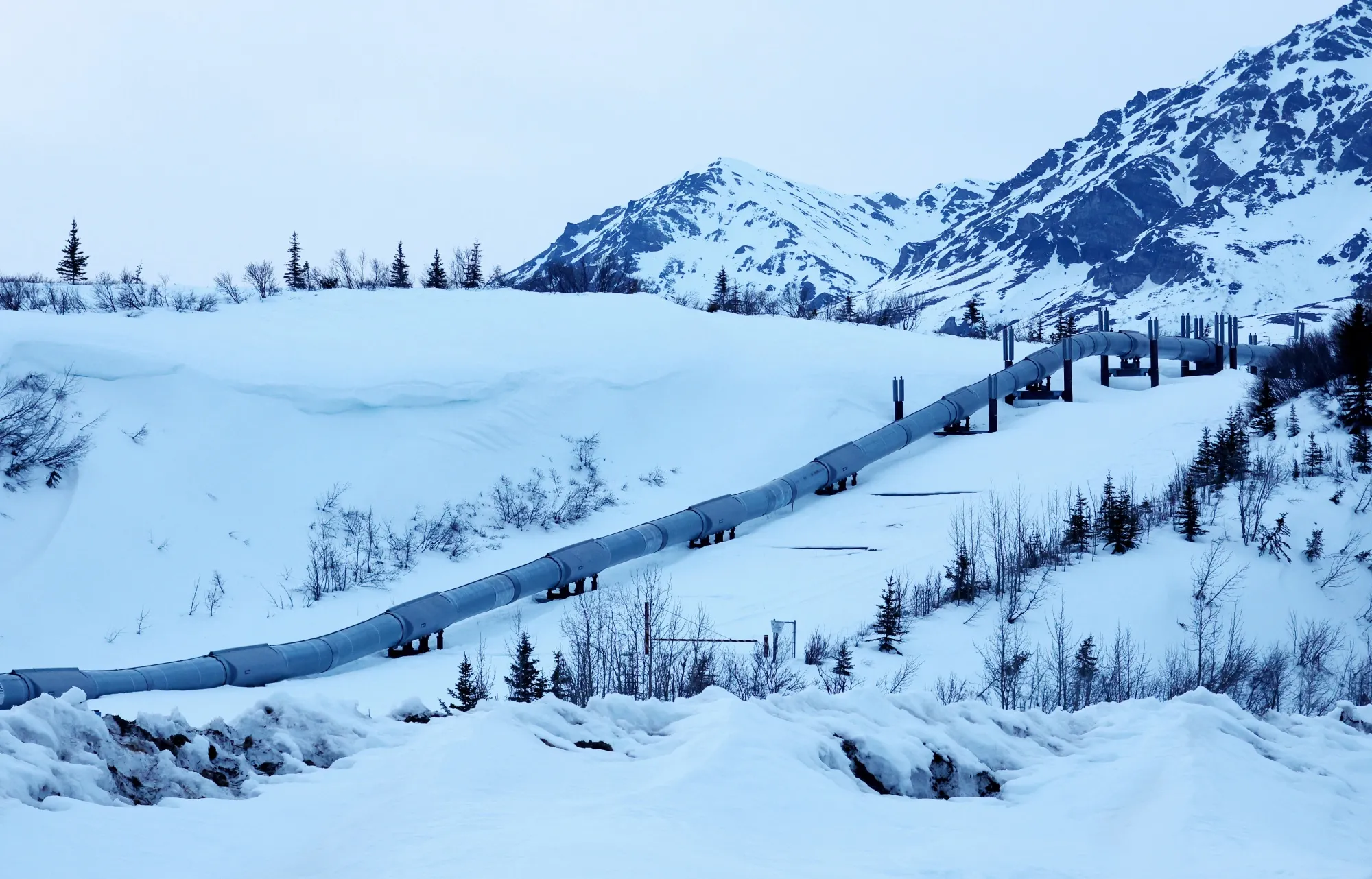 A section of the Trans Alaska Pipeline System&nbsp;near Delta Junction, Alaska.&nbsp;