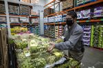 A worker wearing a protective mask stocks packaged grapes inside a Costco store in San Francisco&nbsp;on Wednesday, March 3, 2021.&nbsp;