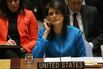 United Nations Security Council Meeting on Syria