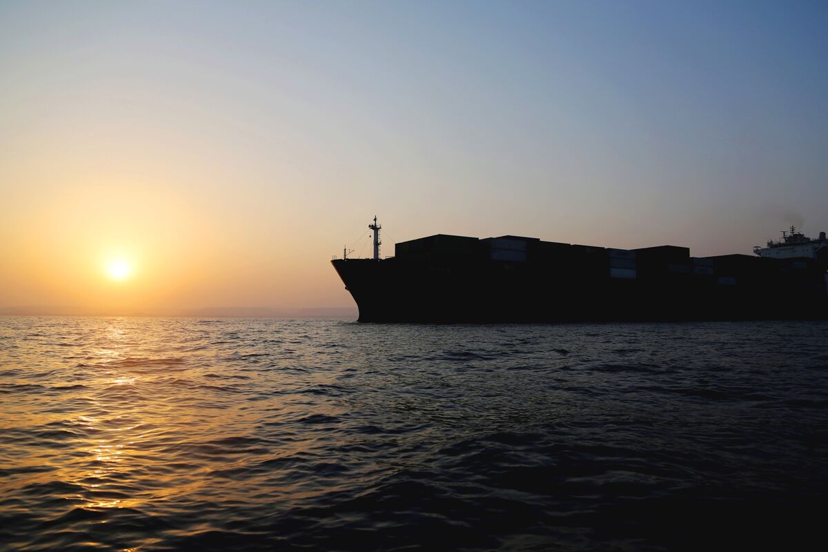 bloomberg.com - David Rovella - Oil Markets on Edge Amid Elections, War