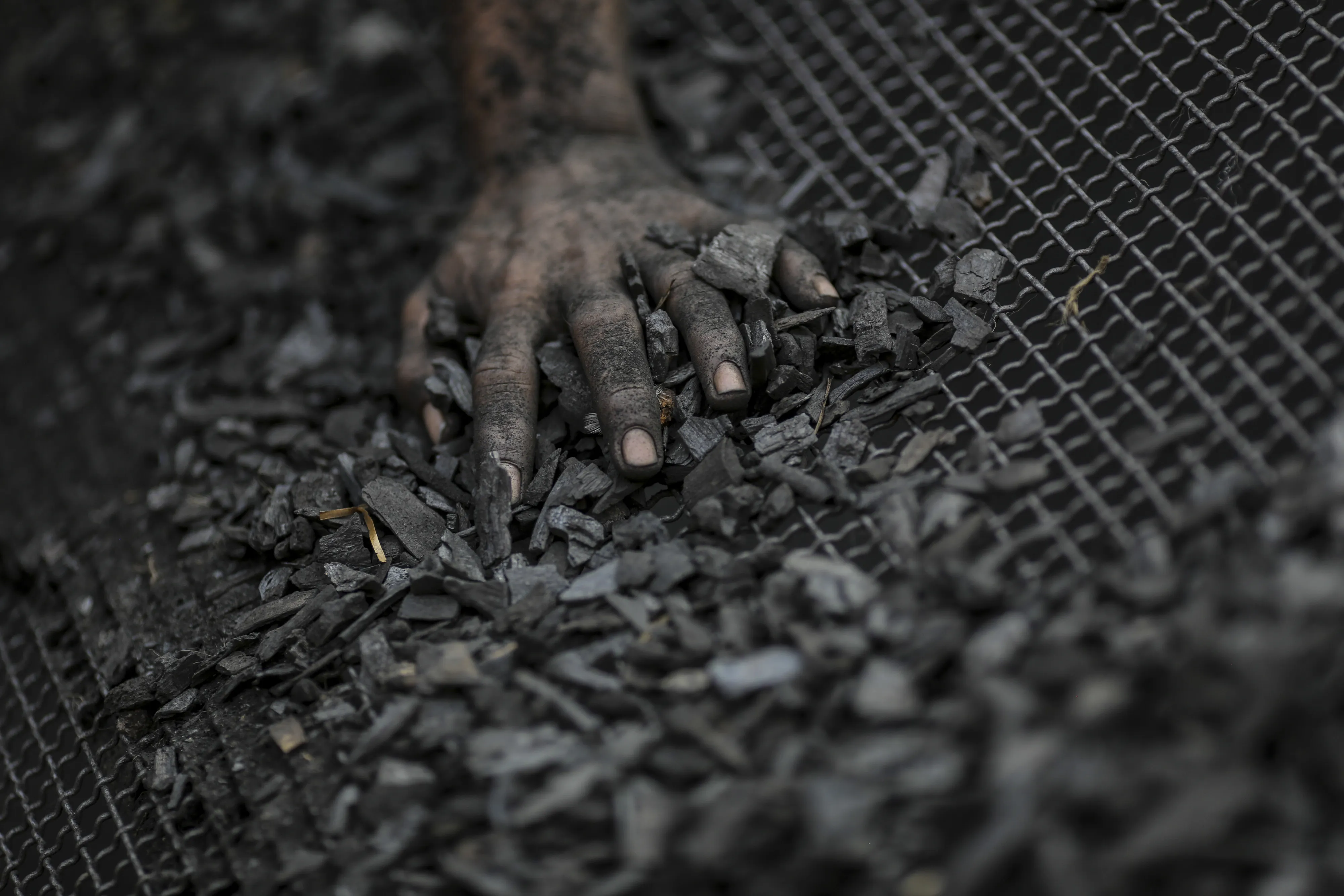 Operations At A Coal Wholesaler As Coal India Ltd. Second-Quarter Earnings Fail To Meet Estimates 