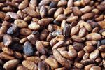 GHANA COCOA