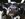 These Face Masks for Cows Have Nothing to Do with Coronavirus